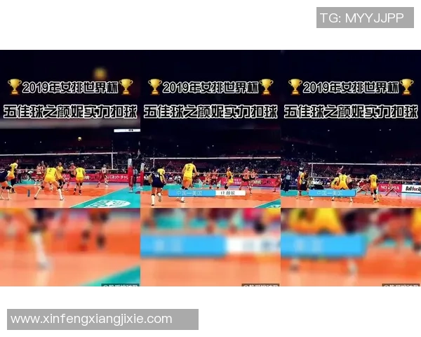 广州排球队节奏对比独家解析与战术分析探讨